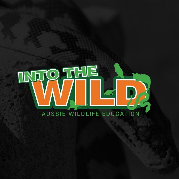 Into the Wild website